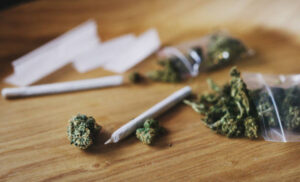 Read more about the article Ob/gyn group advises against cannabis use during pregnancy, recommends universal screening